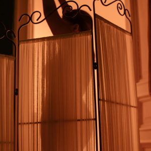 Debeljuca je prava za vas – domina trazi roba